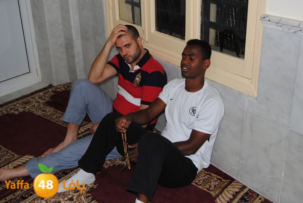 3akila jame3 803 (46).JPG